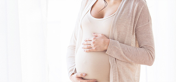 捐卵人及代孕母親檢索系統